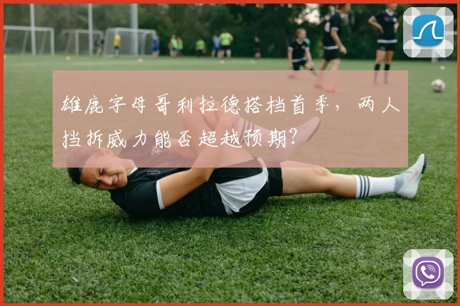 雄鹿字母哥利拉德搭档首季，两人挡拆威力能否超越预期？